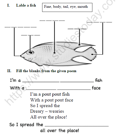 cbse class 3 english a little fish story worksheet